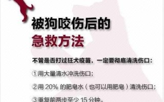 被宠物猫无意抓伤了需要打针吗