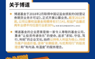大数据公司美国