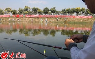 众星垂钓俱乐部