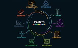 1.明确专栏内容