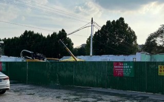张店宠物狗市场
