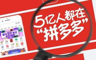 拼多多大数据怎么关注好友