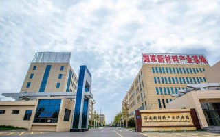 1.政府支持与政策优势