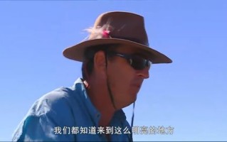 荒野垂钓视频全集