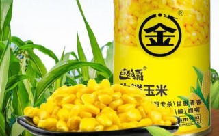 用玉米钓大头鱼可以吗