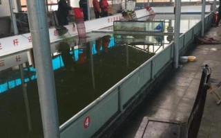 邢台垂钓住宿推荐