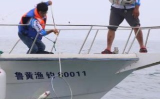 垂钓邀请赛：如何成为一名优秀的垂钓高手？