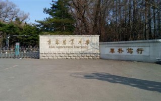 长春农业大学大数据：培养创新型数据人才