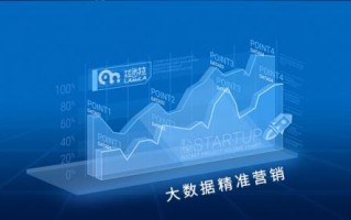 大数据营销的机遇与挑战