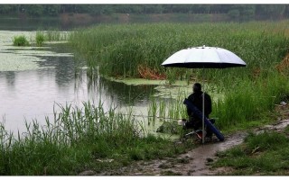 1.小雨细雨时