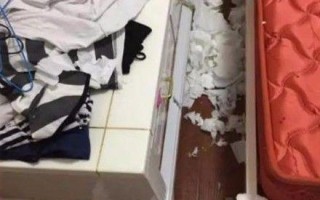 男主变成我的宠物后