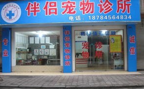 吴川有宠物诊所