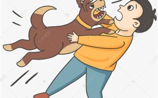 被宠物狗咬流血会得狂犬病吗