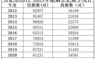 大数据匹配婚姻