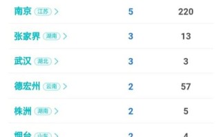 武汉抗疫总结报告