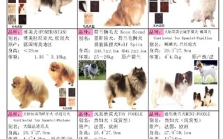 宠物排行