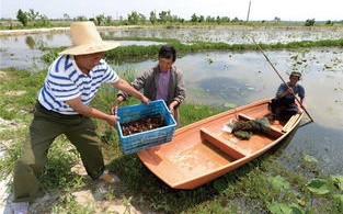 淮安市小龙虾