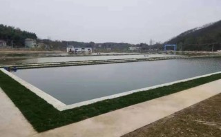 钓鱼搭建平台叫什么