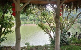 1.三江口水库休闲农庄