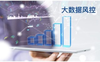 大数据风控系统