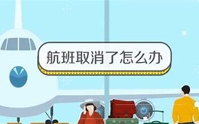 航班取消后的补贴金诱惑揭秘新型诈骗手法与防范策略