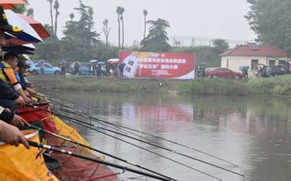 高清垂钓视频大全