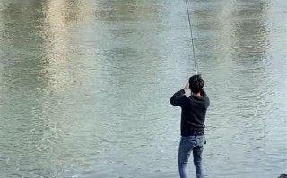 支票是真的吗