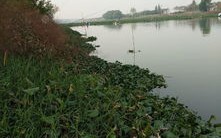外宋家休闲垂钓中心
