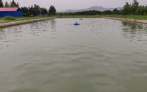 蓝标河图片