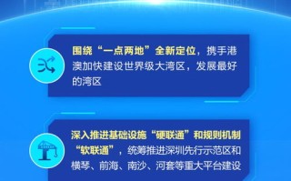 大数据局2020年工作总结