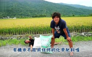野钓小哥