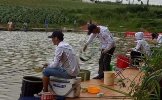 介绍