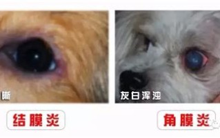 原因：