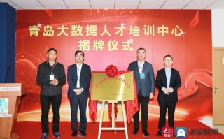 建立大数据人才培训基地的指导建议