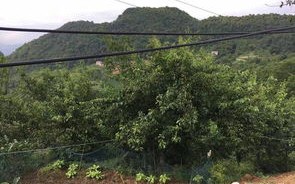 太原柴村附近有什么景点