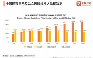 大数据企业运营现状分析论文