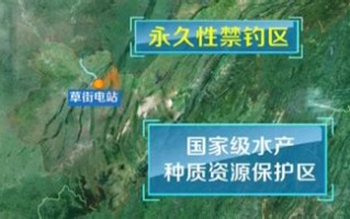重庆大洪湖钓鱼2021规定