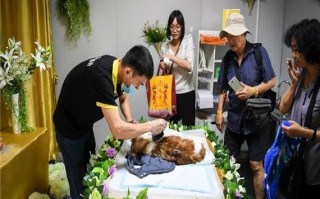 杭州宠物殡葬服务价格