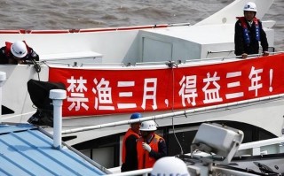 长江禁止捕鱼十年可以钓鱼吗