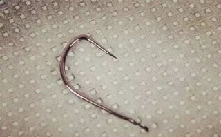 赣江怎么钓翘嘴