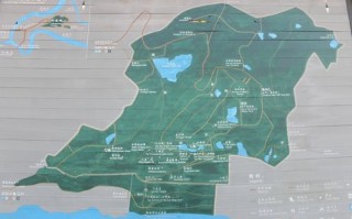野钓烧烤