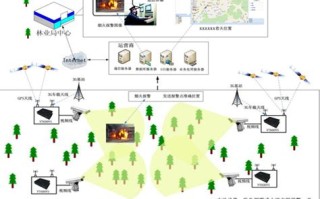 大数据林业系统研究背景怎么写
