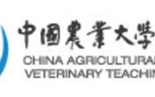 农大宠物医院价格表