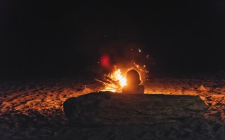 女子露营烤牛肉遭遇牛群突袭，野外生存需警惕！
