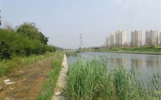 青山周边垂钓地点