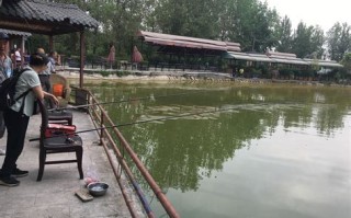 成都双流看桃花的地方