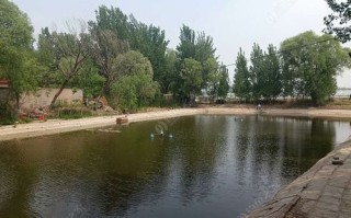 可以烧烤钓鱼的地方