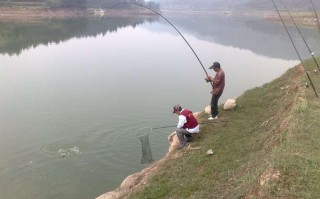 1.调查水库情况