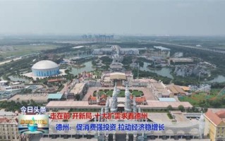 德州市消费大数据中心电话