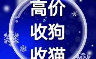 动机与挑战